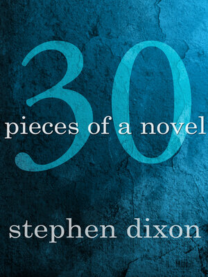 cover image of 30 Pieces of a Novel